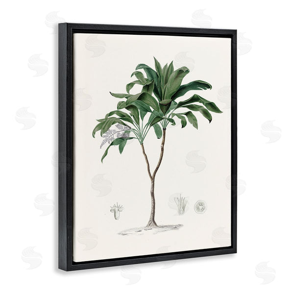 Stupell Industries CAD Designs | Vintage Palm Study
