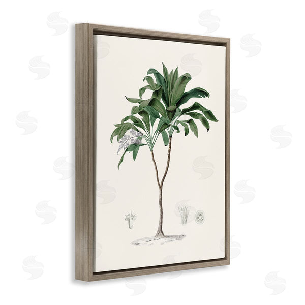 Stupell Industries CAD Designs | Vintage Palm Study