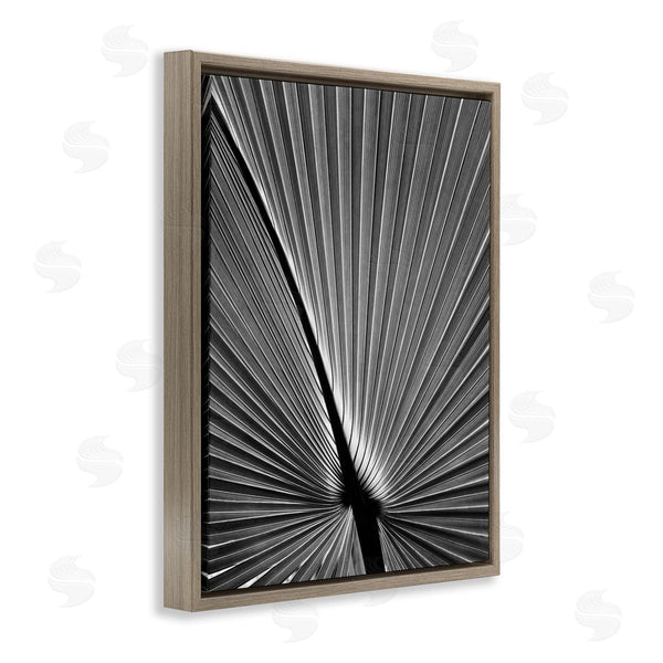 Stupell Industries Chip Forelli | Palm Frond Detail