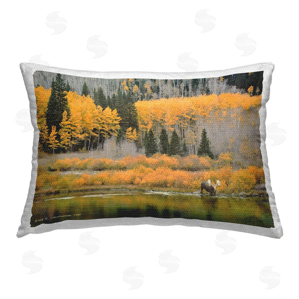 Stupell Industries Chris Vest | Moose At Priest Lake