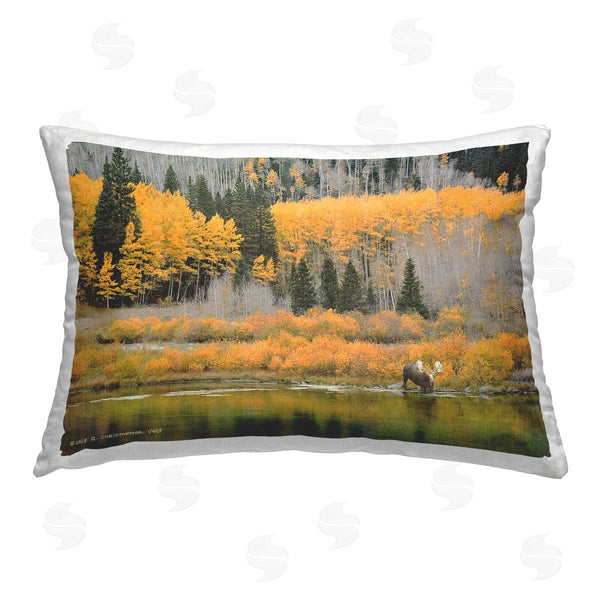 stupell industries Chris Vest | Moose at Priest Lake