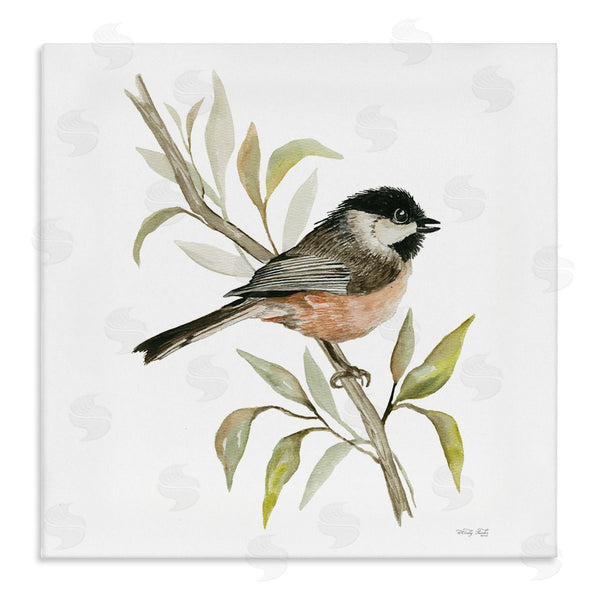 stupell industries Cindy Jacobs | Sparrow on Branch
