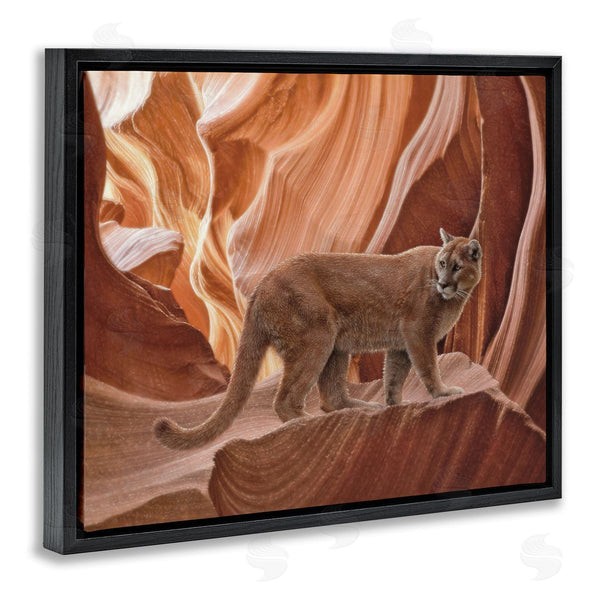 Stupell Industries Collin Bogle | Cougar Canyon View