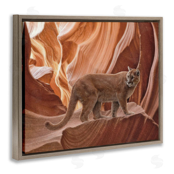 Stupell Industries Collin Bogle | Cougar Canyon View