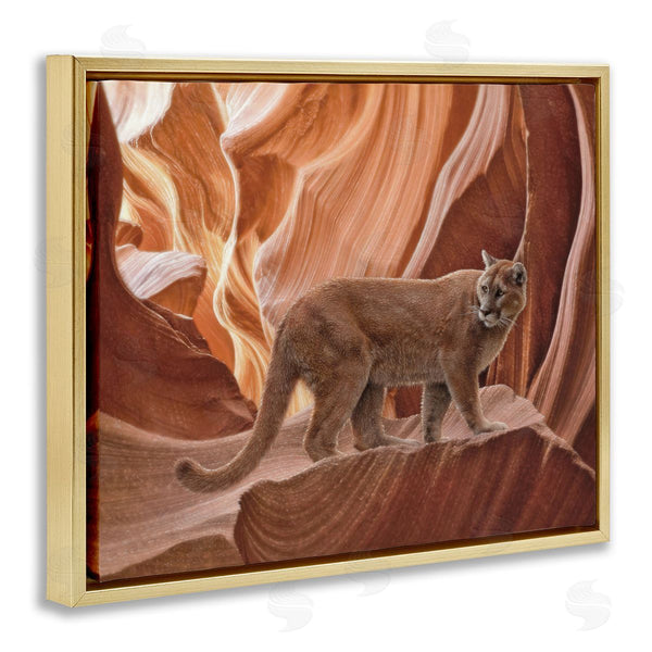Stupell Industries Collin Bogle | Cougar Canyon View