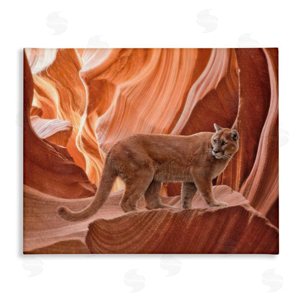 stupell industries Collin Bogle | Cougar Canyon View