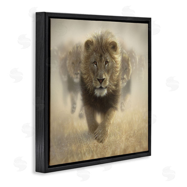 Stupell Industries Collin Bogle | Eat My Dust Lions