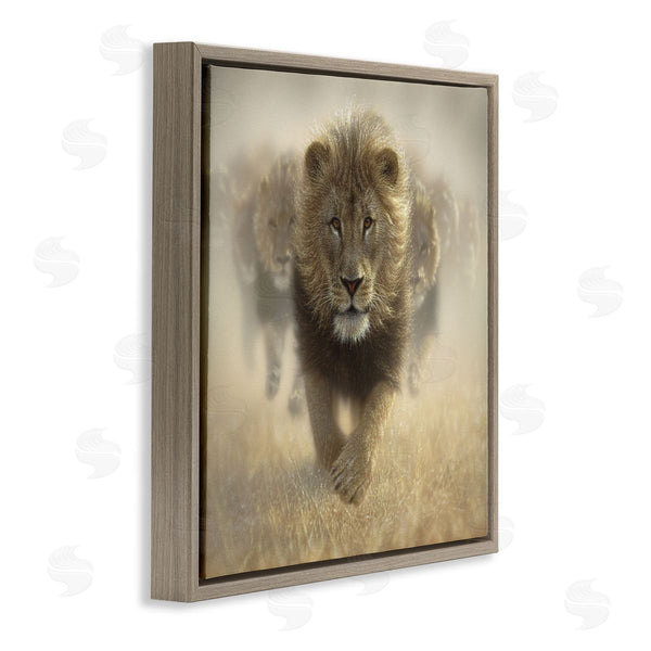 Stupell Industries Collin Bogle | Eat My Dust Lions