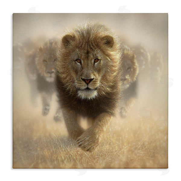 stupell industries Collin Bogle | Eat My Dust Lions