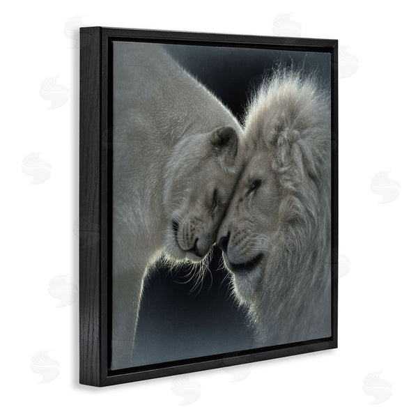 Stupell Industries Collin Bogle | White Lion Love