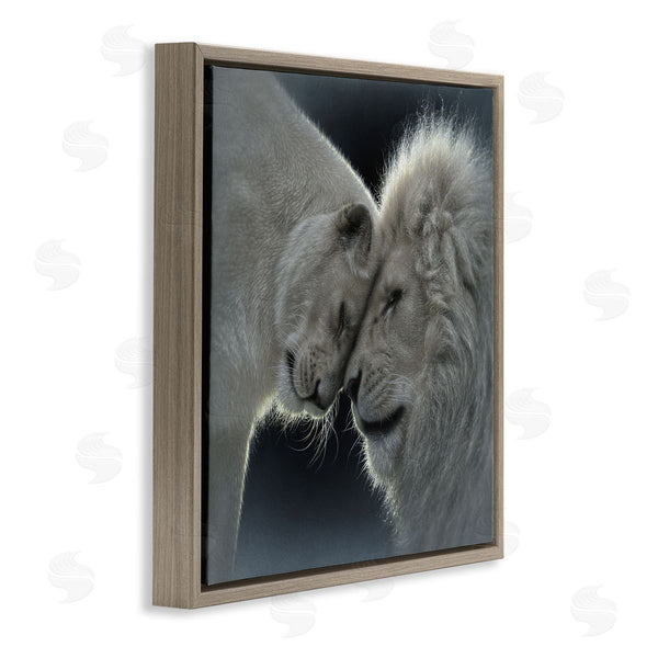 Stupell Industries Collin Bogle | White Lion Love