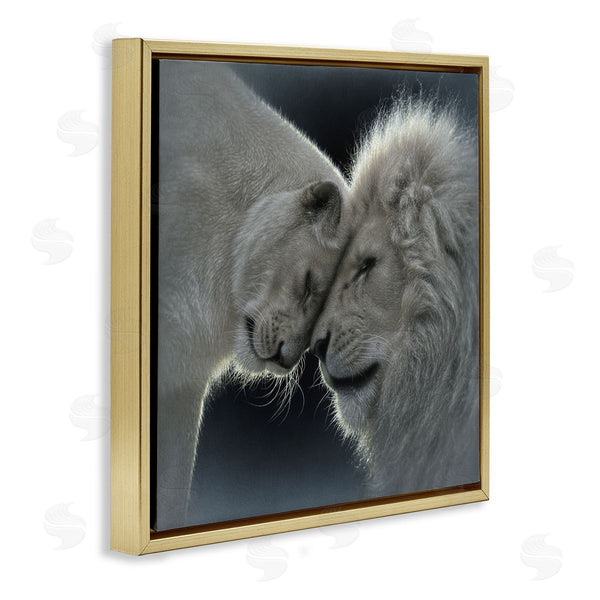 Stupell Industries Collin Bogle | White Lion Love