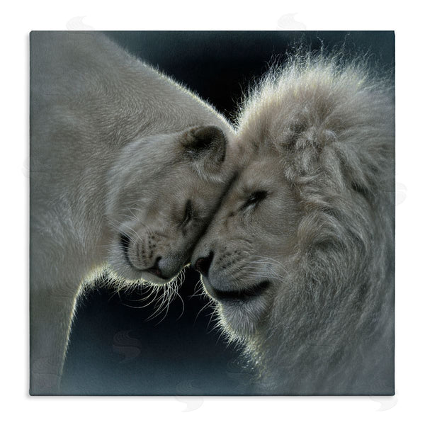 stupell industries Collin Bogle | White Lion Love