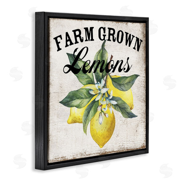 Stupell Industries Creatif Belle | Farm Grown Lemons