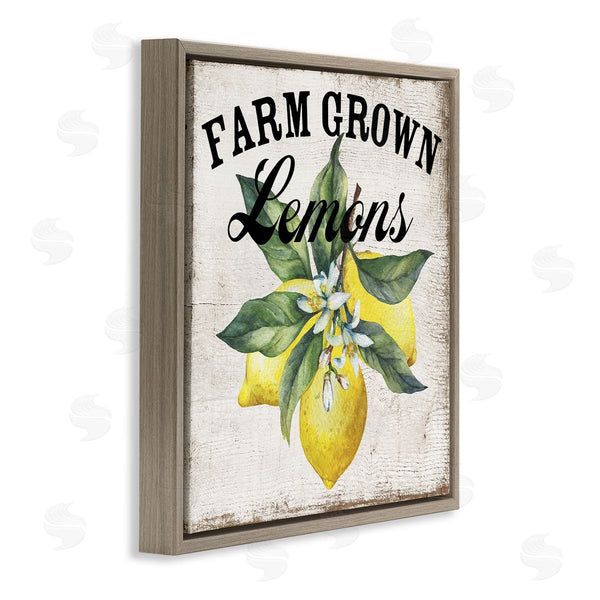 Stupell Industries Creatif Belle | Farm Grown Lemons