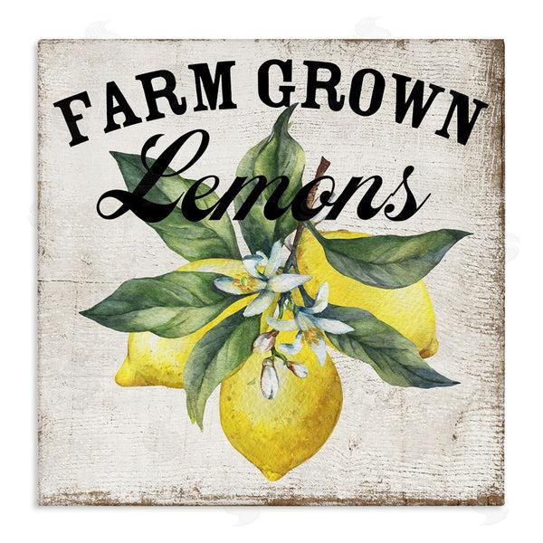 stupell industries Creatif Belle | Farm Grown Lemons