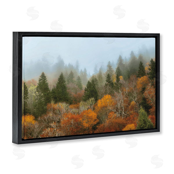Stupell Industries D. Burt | Autumn Mountain Overview