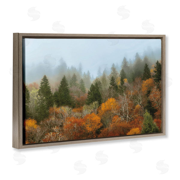Stupell Industries D. Burt | Autumn Mountain Overview