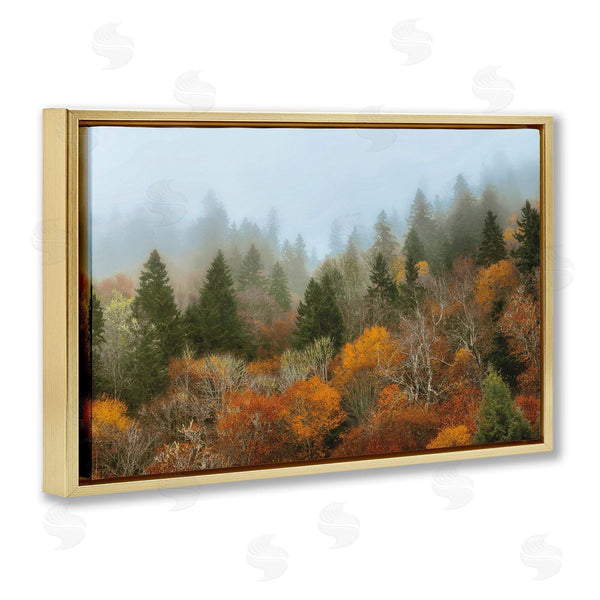 Stupell Industries D. Burt | Autumn Mountain Overview