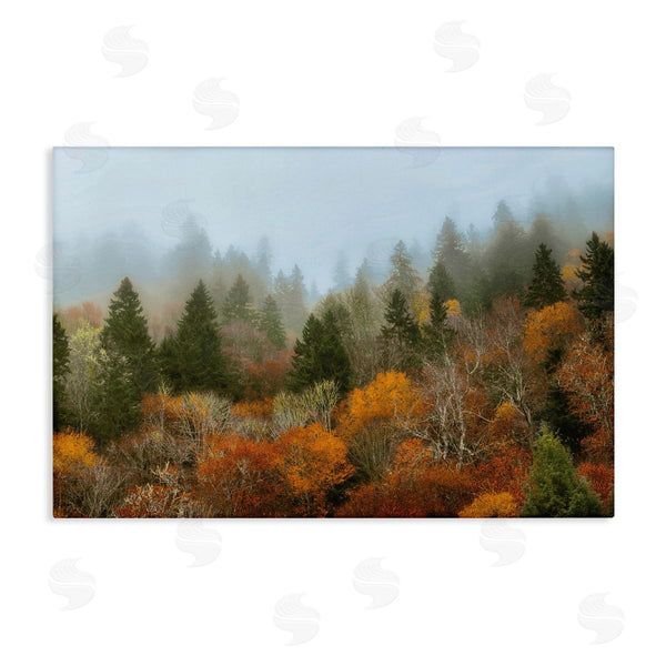 stupell industries D. Burt | Autumn Mountain Overview