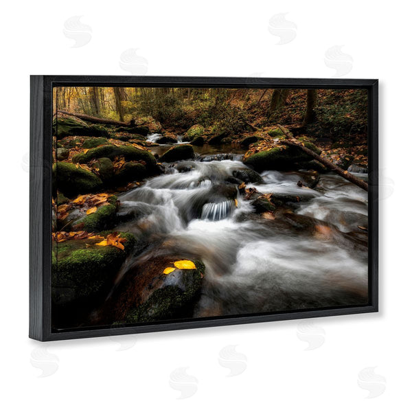 Stupell Industries D. Burt | Fallen Leaves On Stream