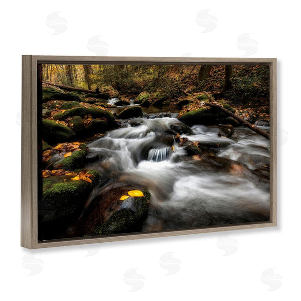 Stupell Industries D. Burt | Fallen Leaves On Stream