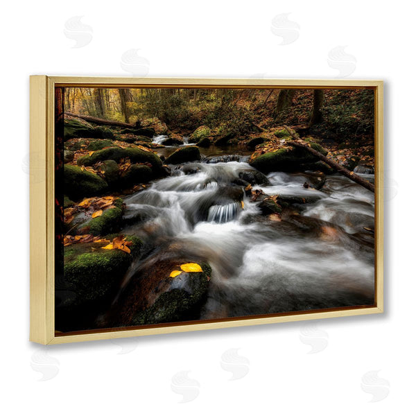 Stupell Industries D. Burt | Fallen Leaves On Stream