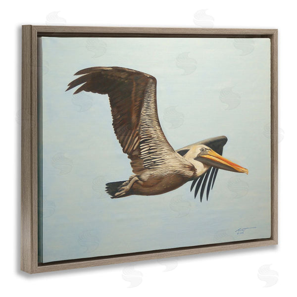 Stupell Industries D. Rust | Brown Pelican In Flight