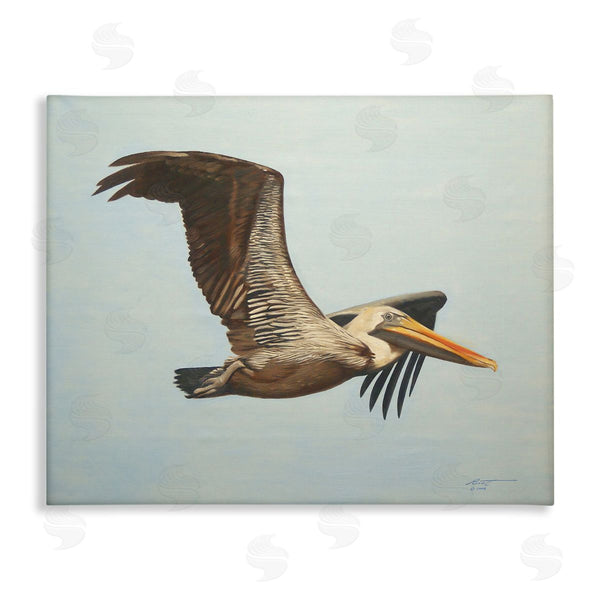 stupell industries D. Rust | Brown Pelican in Flight