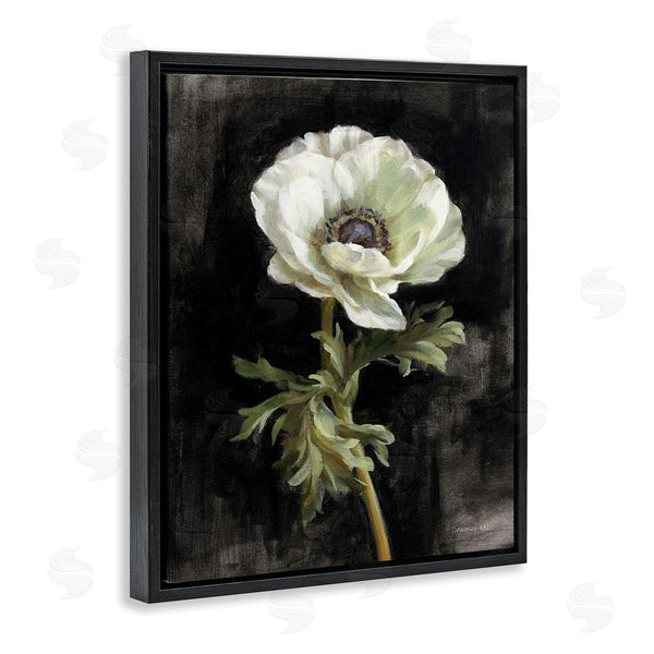 Stupell Industries Danhui Nai | Anemone On Black