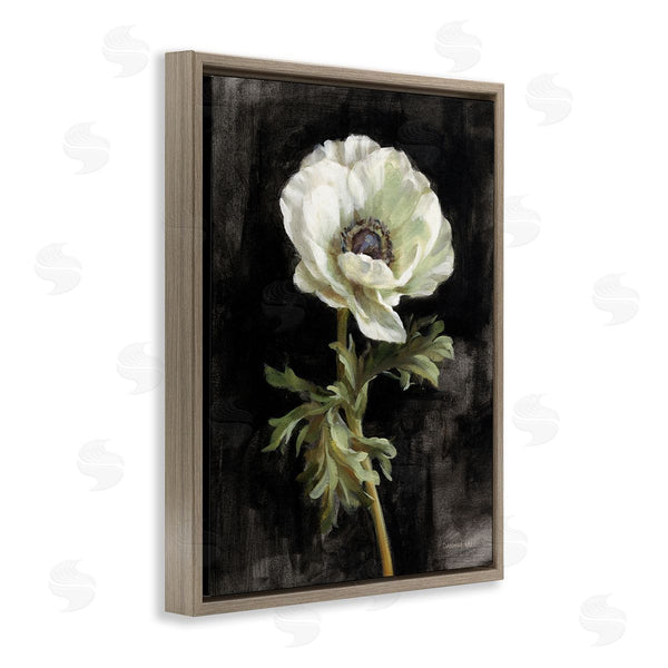 Stupell Industries Danhui Nai | Anemone On Black