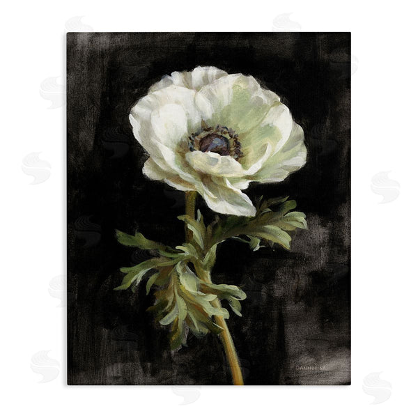stupell industries Danhui Nai | Anemone on Black