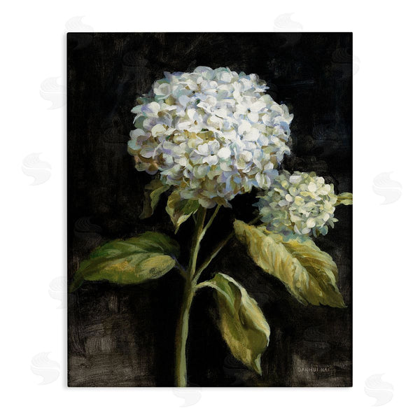 stupell industries Danhui Nai | Hydrangea on Black