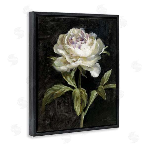 Stupell Industries Danhui Nai | Peony On Black