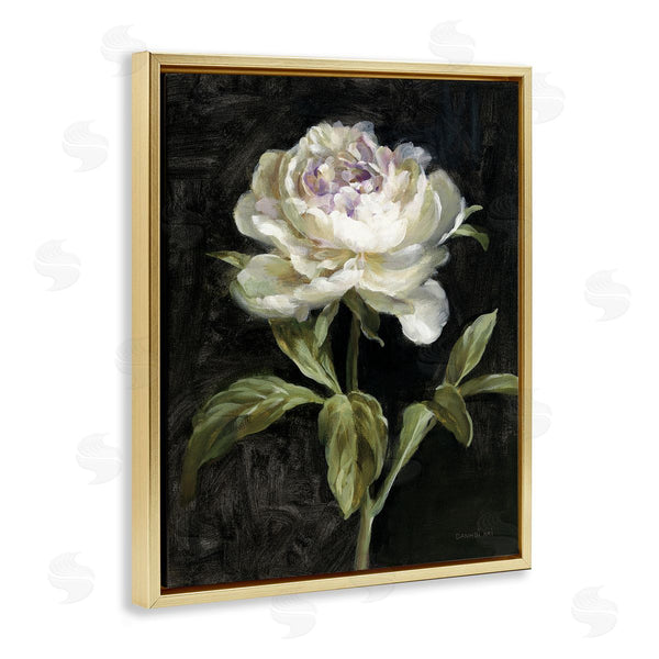Stupell Industries Danhui Nai | Peony On Black