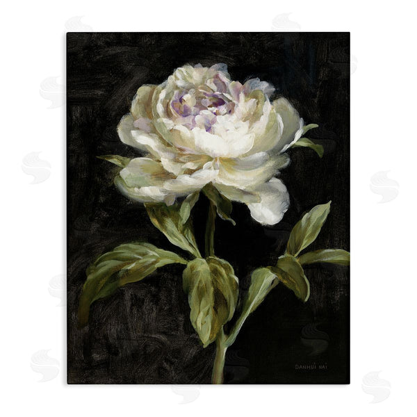 stupell industries Danhui Nai | Peony on Black