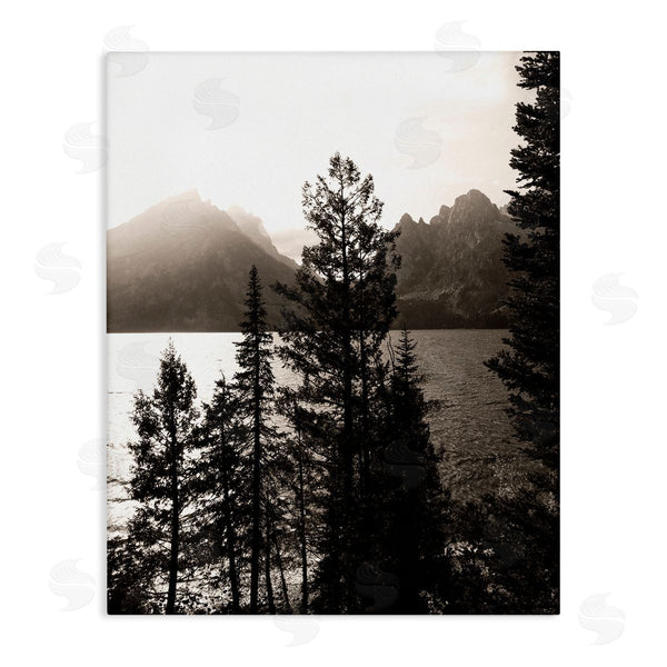 stupell industries Daniel Sproul | Trees & Lake View