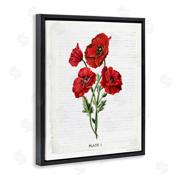 Stupell Industries Danielle Murray | Red Poppy Study