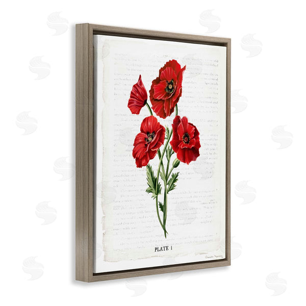 Stupell Industries Danielle Murray | Red Poppy Study