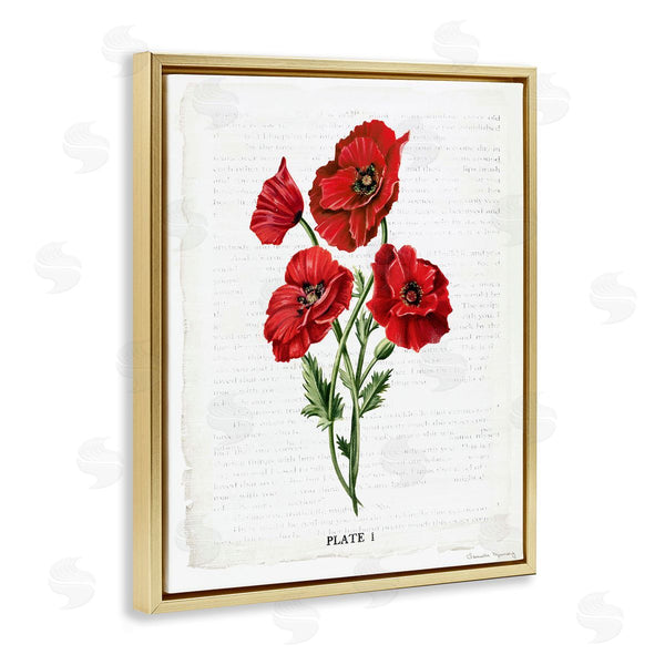 Stupell Industries Danielle Murray | Red Poppy Study