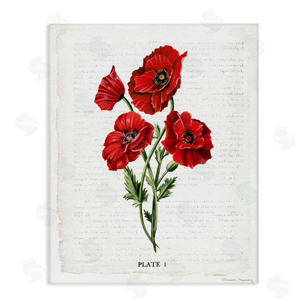 stupell industries Danielle Murray | Red Poppy Study