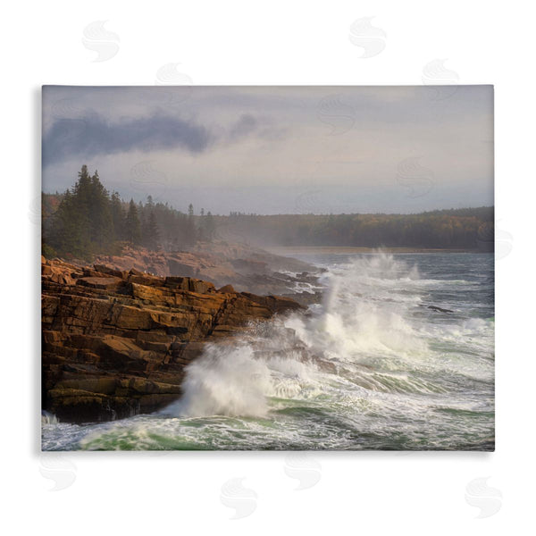 stupell industries Danny Head | Rough Waves on Cliff