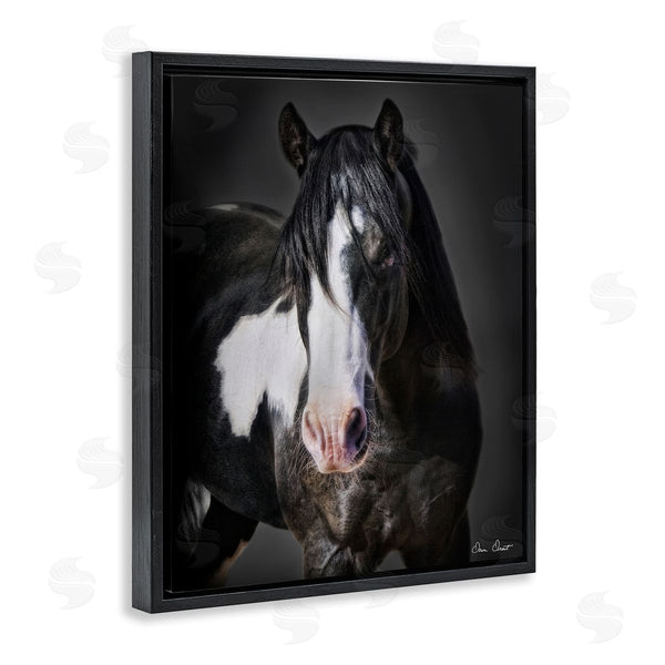Stupell Industries David Drost | Black & White Horse