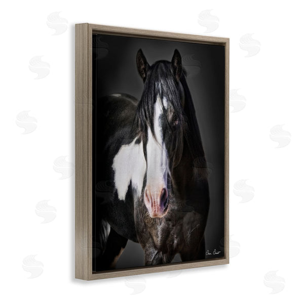 Stupell Industries David Drost | Black & White Horse