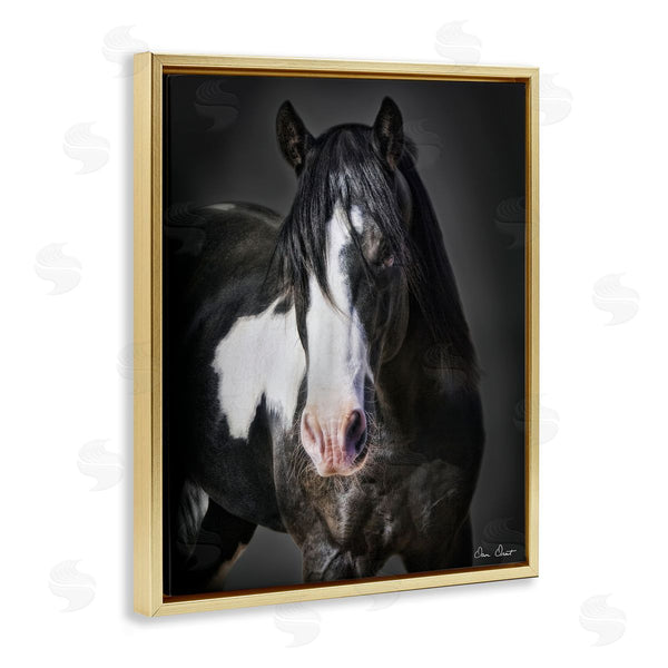 Stupell Industries David Drost | Black & White Horse