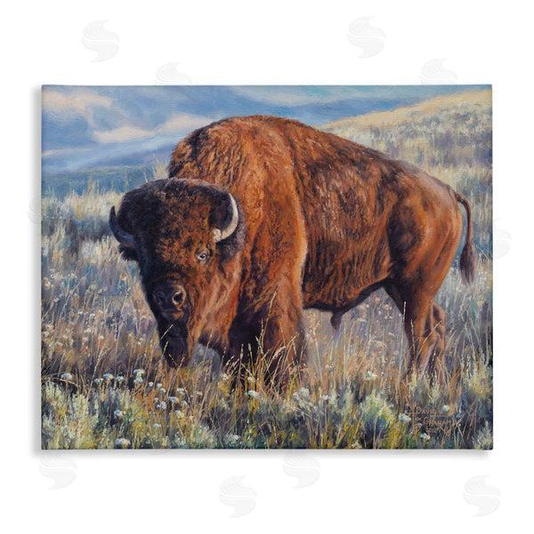 stupell industries David Graham | Prairie King Bison