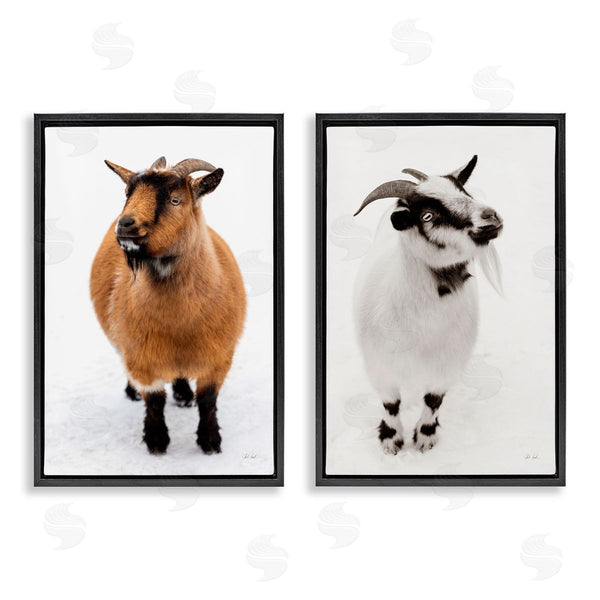 Stupell Industries Deborah Revell | Two Little Goats