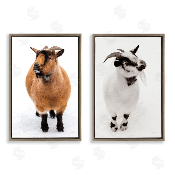 Stupell Industries Deborah Revell | Two Little Goats