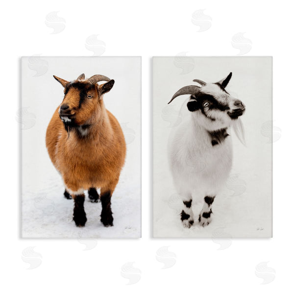 stupell industries Deborah Revell | Two Little Goats