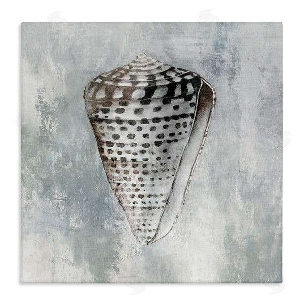 stupell industries Eli Jones | Organic Cowrie Shell